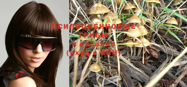 PSILOCYBIN Балабаново
