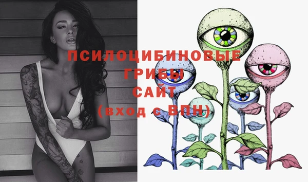 PSILOCYBIN Балабаново