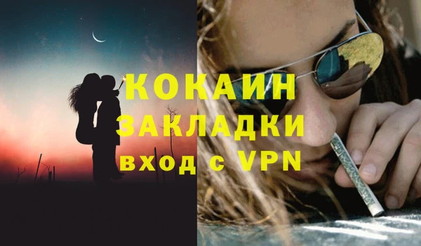 PSILOCYBIN Балабаново